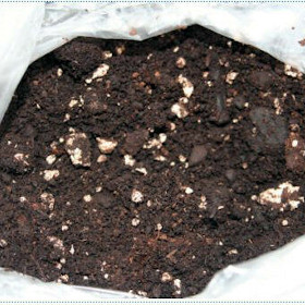 Carnivorous plant compost